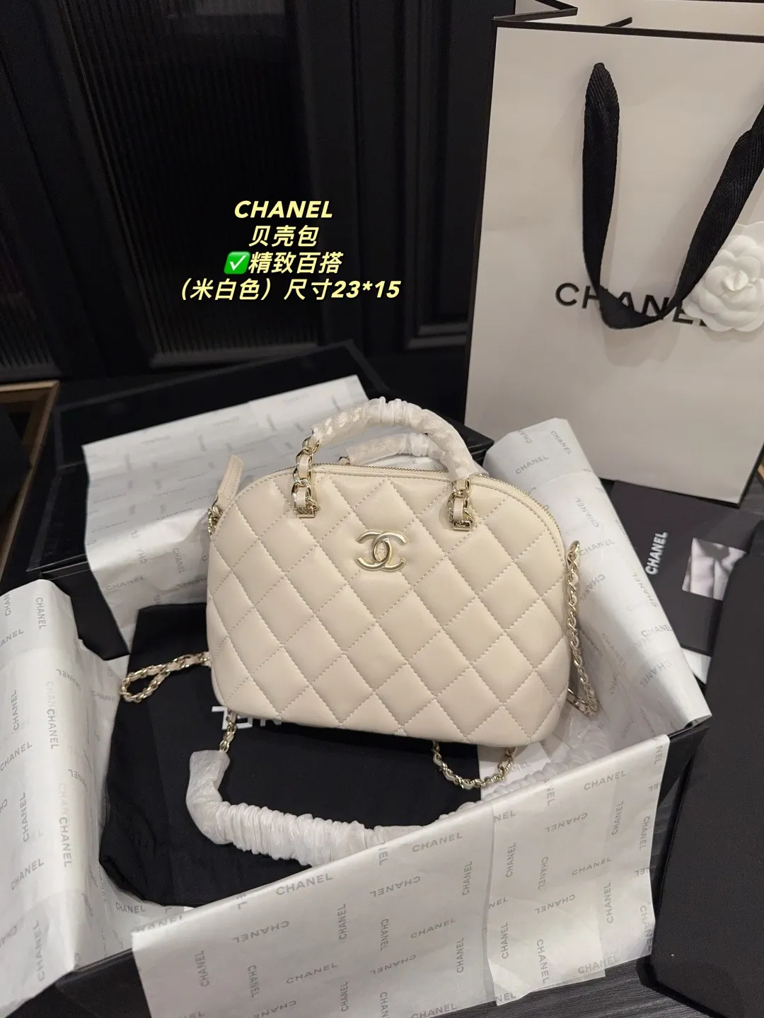 Chanel Quilted Lambskin Shell Bag D28018189 — view 20