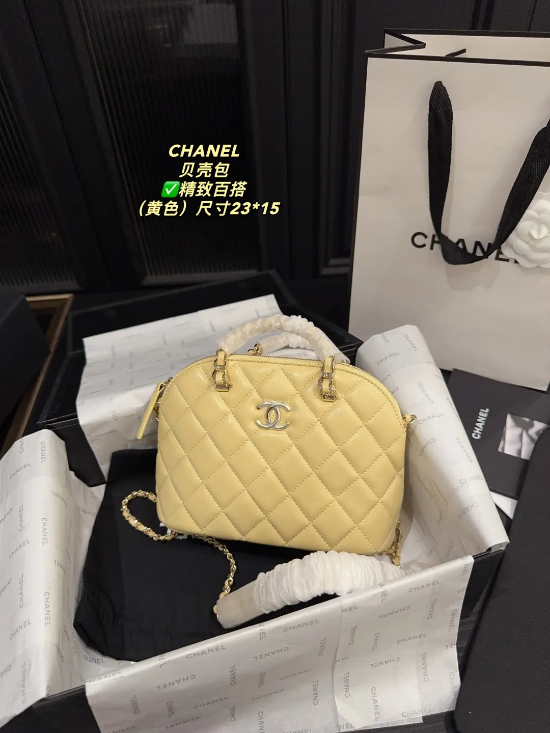 Chanel Quilted Lambskin Shell Bag D28018189 — view 21
