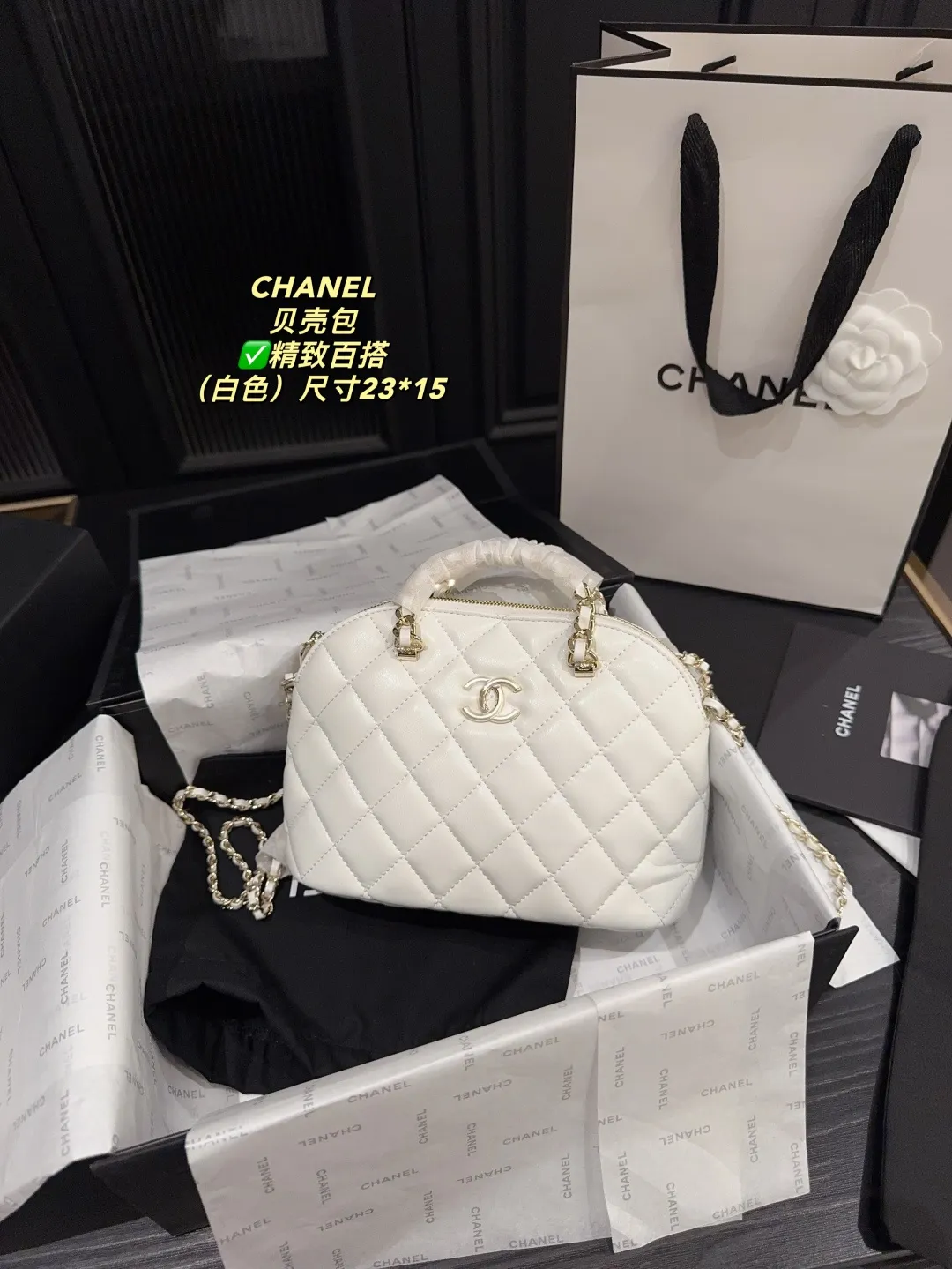 Chanel Quilted Lambskin Shell Bag D28018189 — view 22