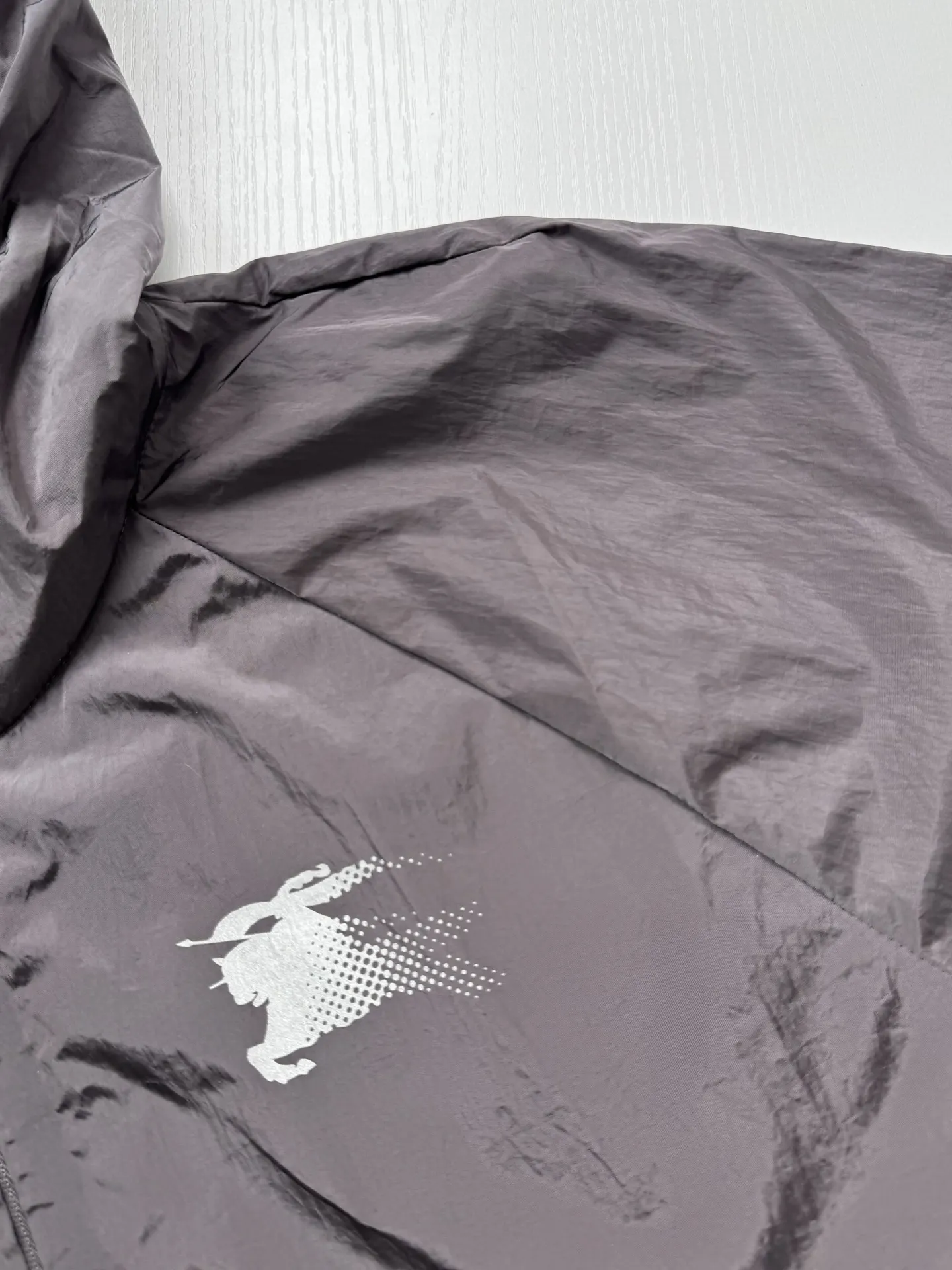 Logo Print Hooded Shell Jacket D34018713 — view 9