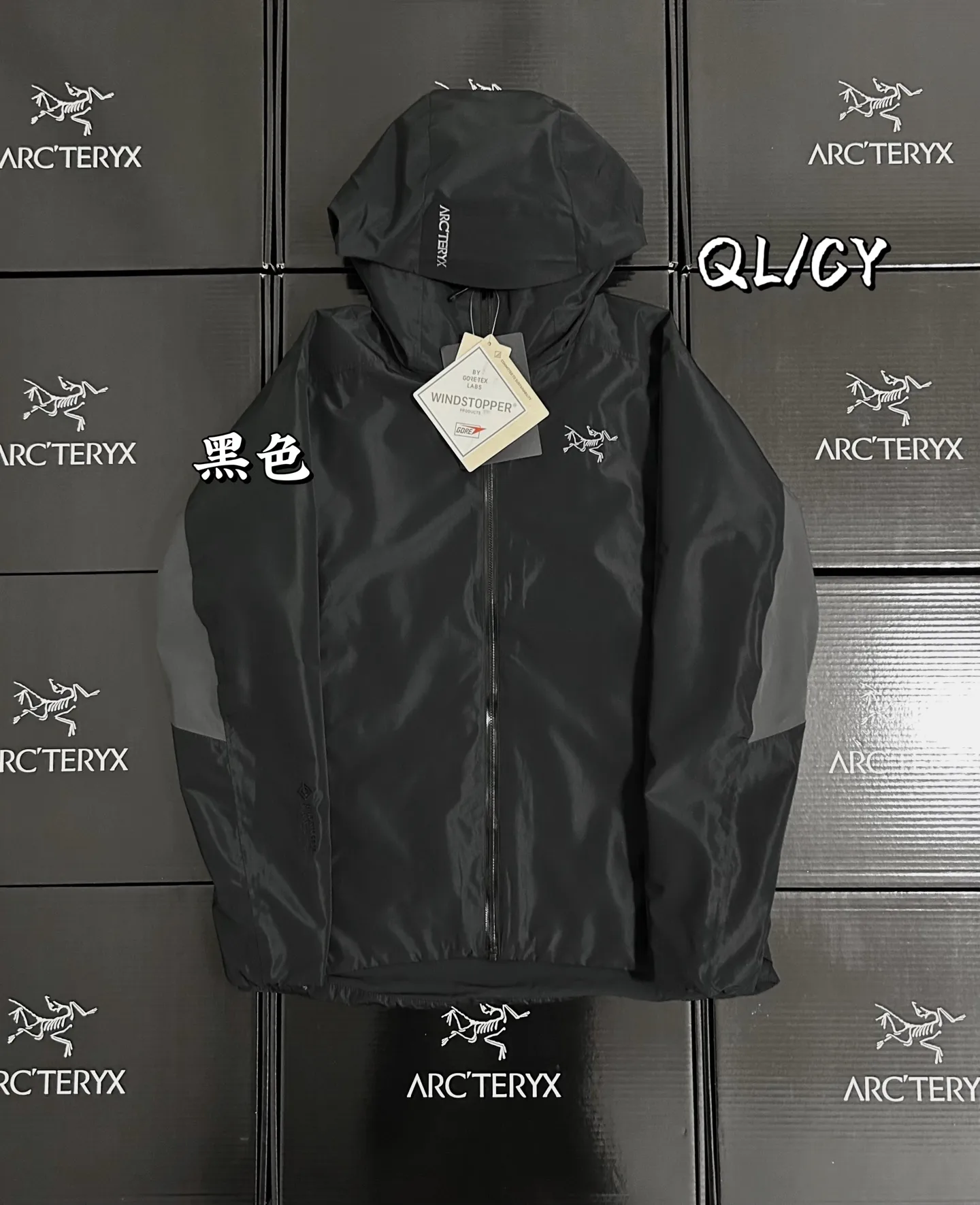 Solano GORE-TEX Insulated Hooded Jacket D36020865
