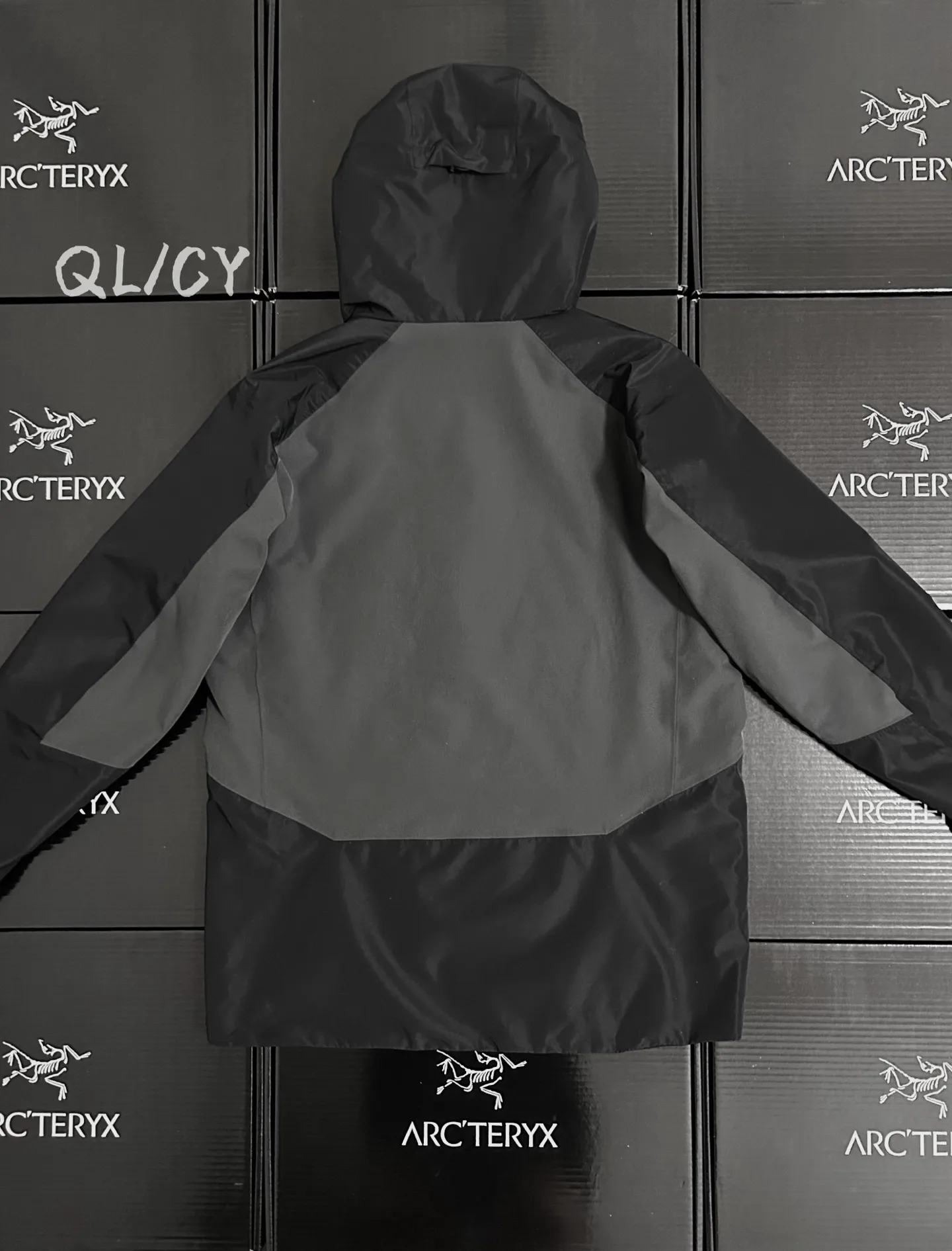 Solano GORE-TEX Insulated Hooded Jacket D36020865 — view 9