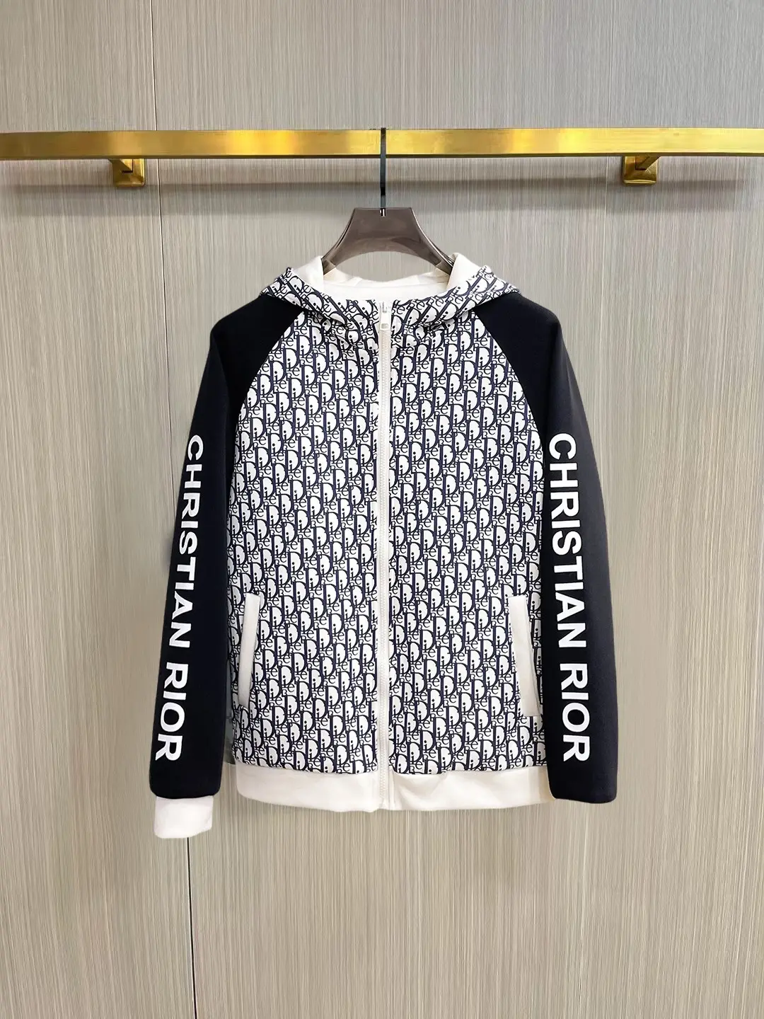 Oblique Monogram Zip-Up Hooded Jacket D38014750