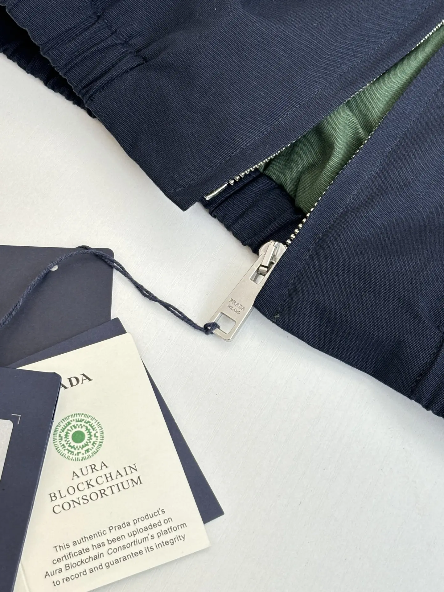 Cotton Canvas Harrington Jacket D38522008 — view 8