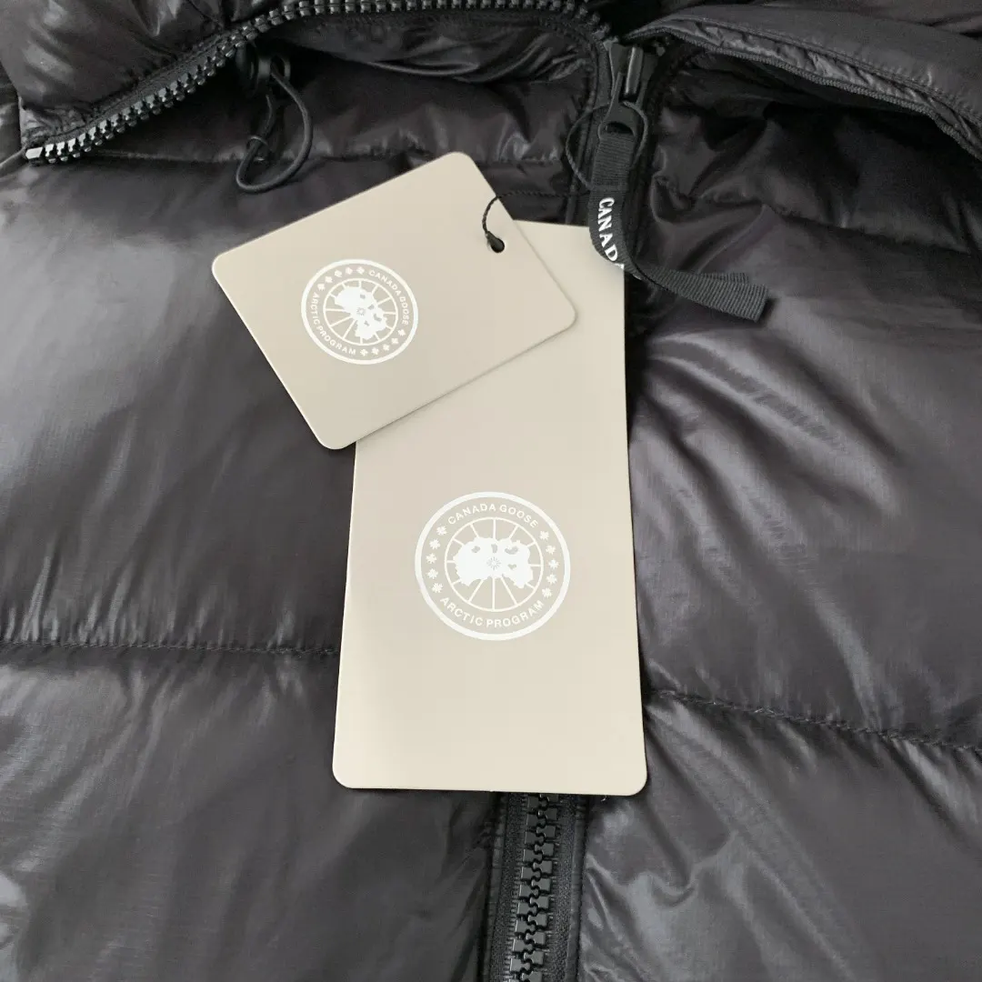 Cyess Hooded Down Puffer Jacket D57024804 — view 4