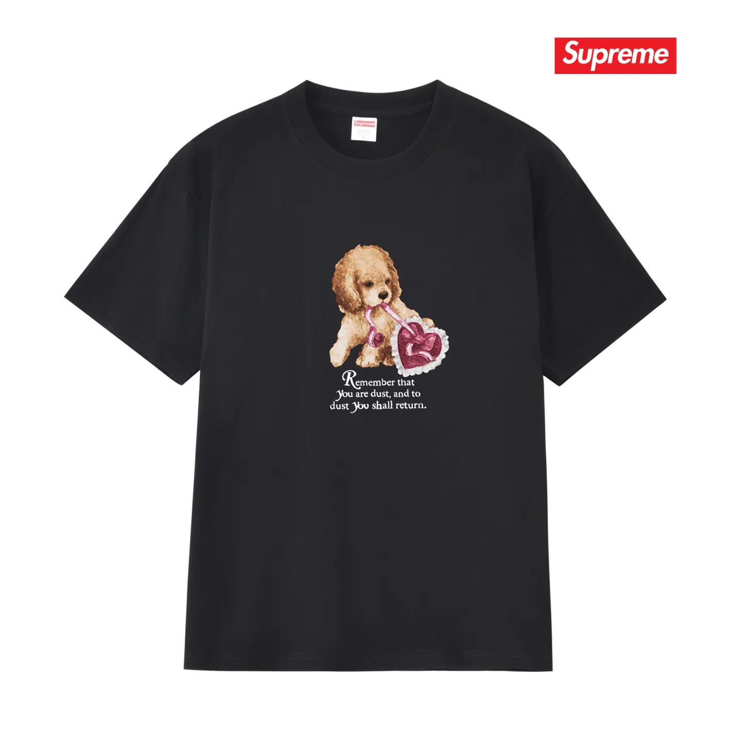 Dust Graphic Print Cotton T-Shirt D9012108