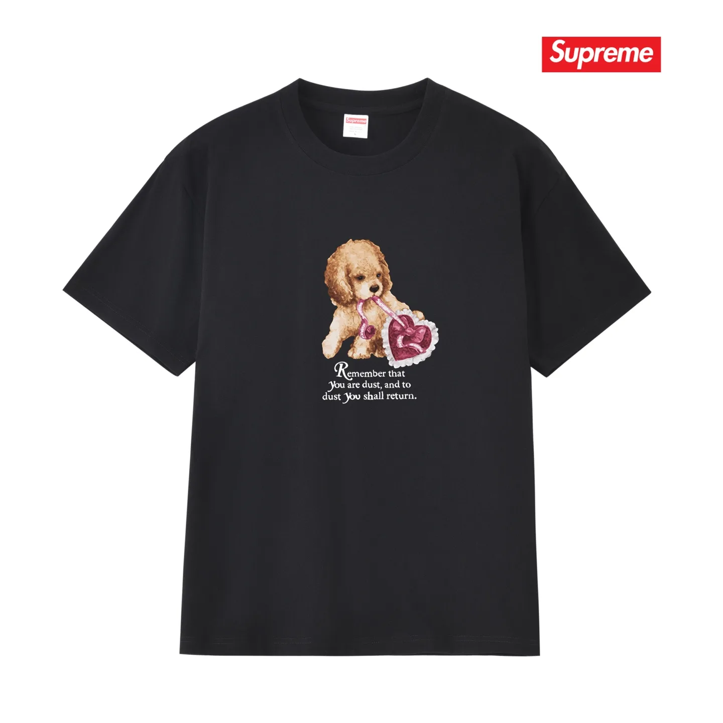 Dust Graphic Print Cotton T-Shirt D9012108