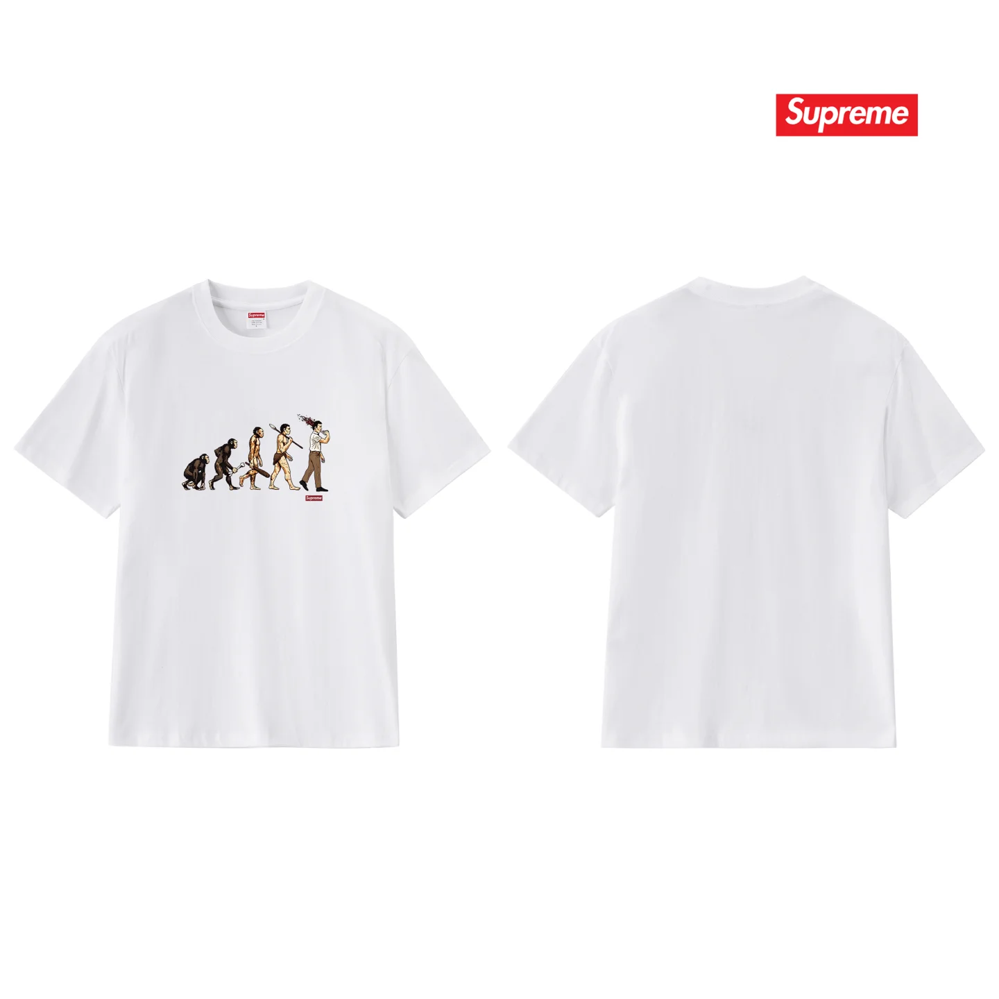 Evolution Graphic Print Cotton T-Shirt D9012100 — view 4