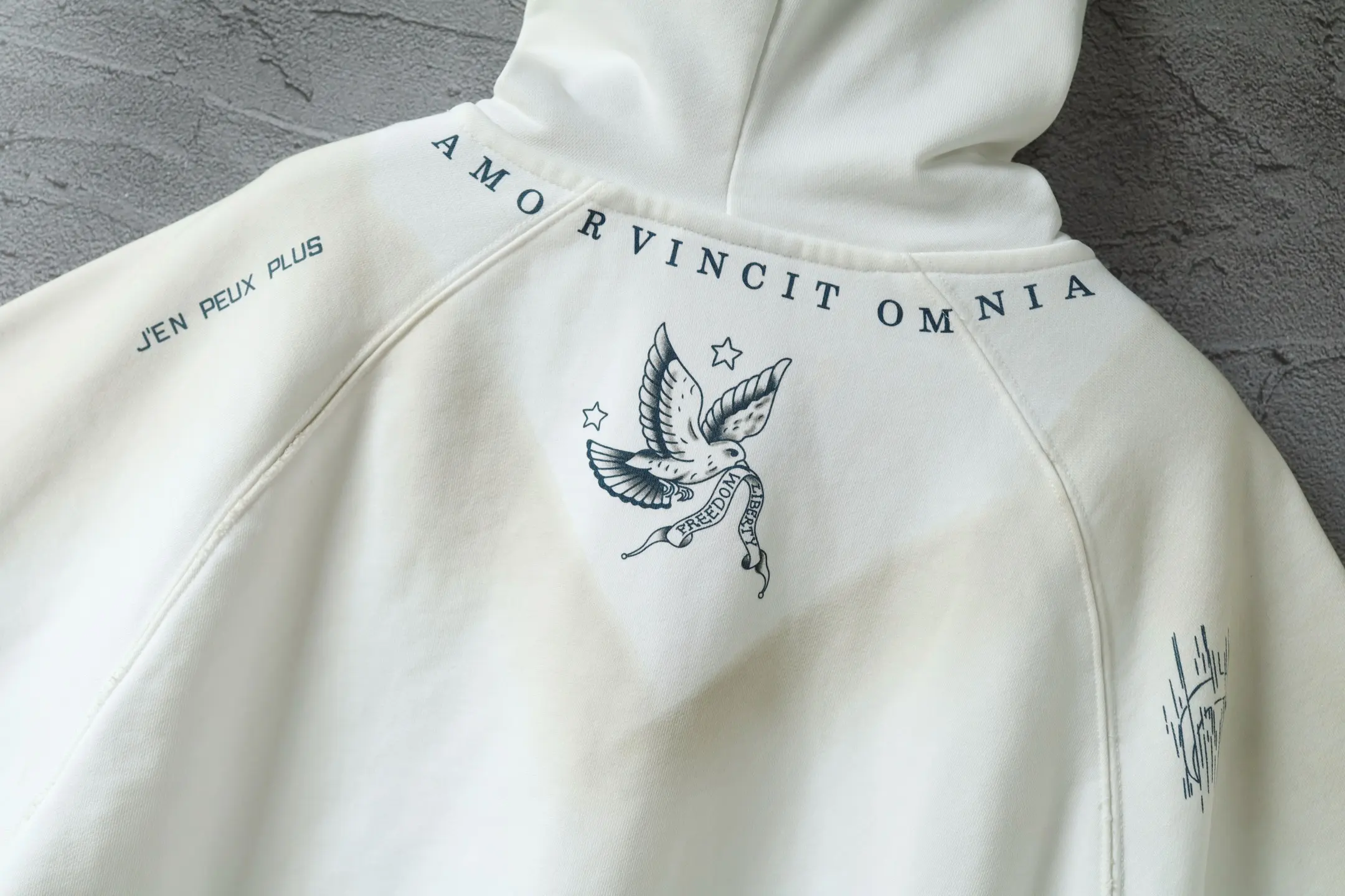 Graphic Print Distressed Zip-Up Hoodie D31920070 — view 4