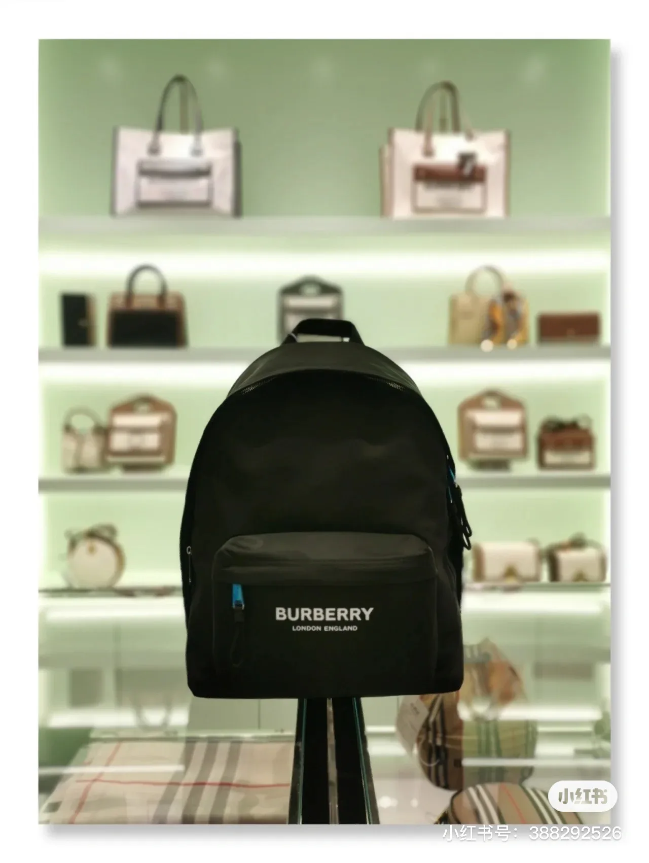 Burberry Logo Print Backpack D28518187 — view 2