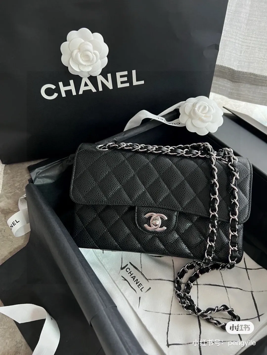 Classic Flap Bag in Caviar Leather D32018395
