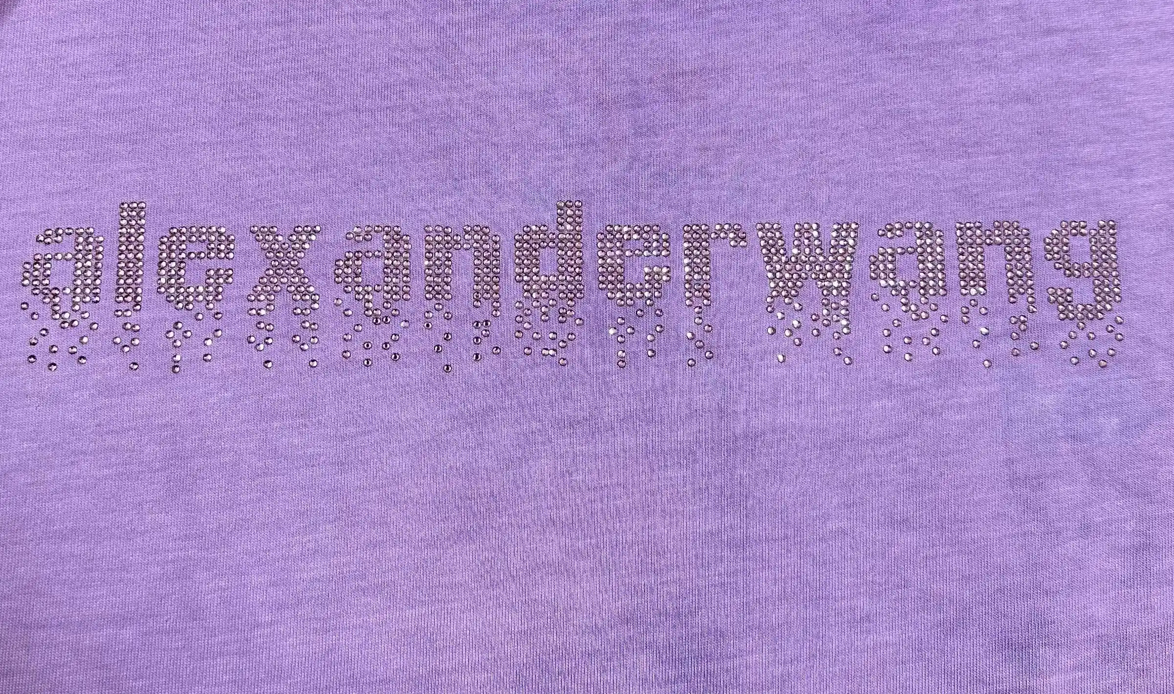 Hot-Fix Crystal Logo Washed Cotton T-Shirt D14512499 — view 8