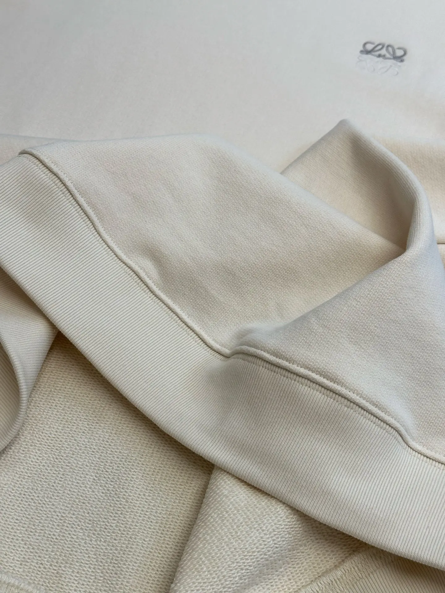 Anagram Embroidered Cotton-Jersey Sweatshirt D25518792 — view 9