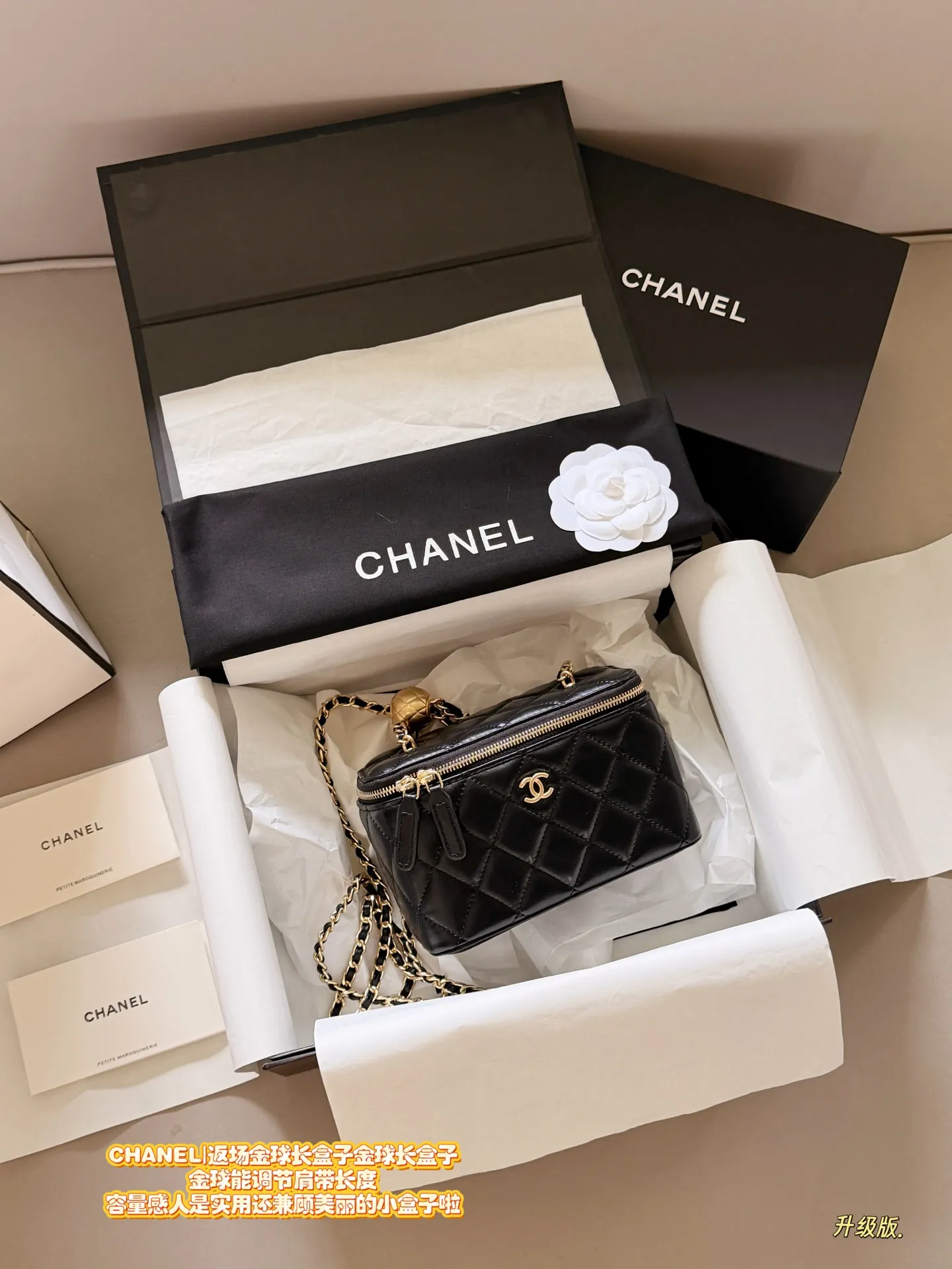 Chanel Quilted Vanity Case with Chain D28018310