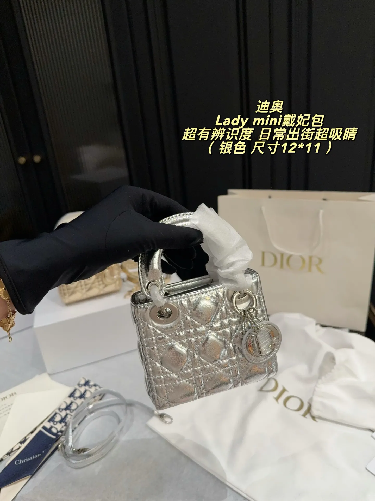 Lady Dior Mini Metallic Leather Bag D30018305 — view 8
