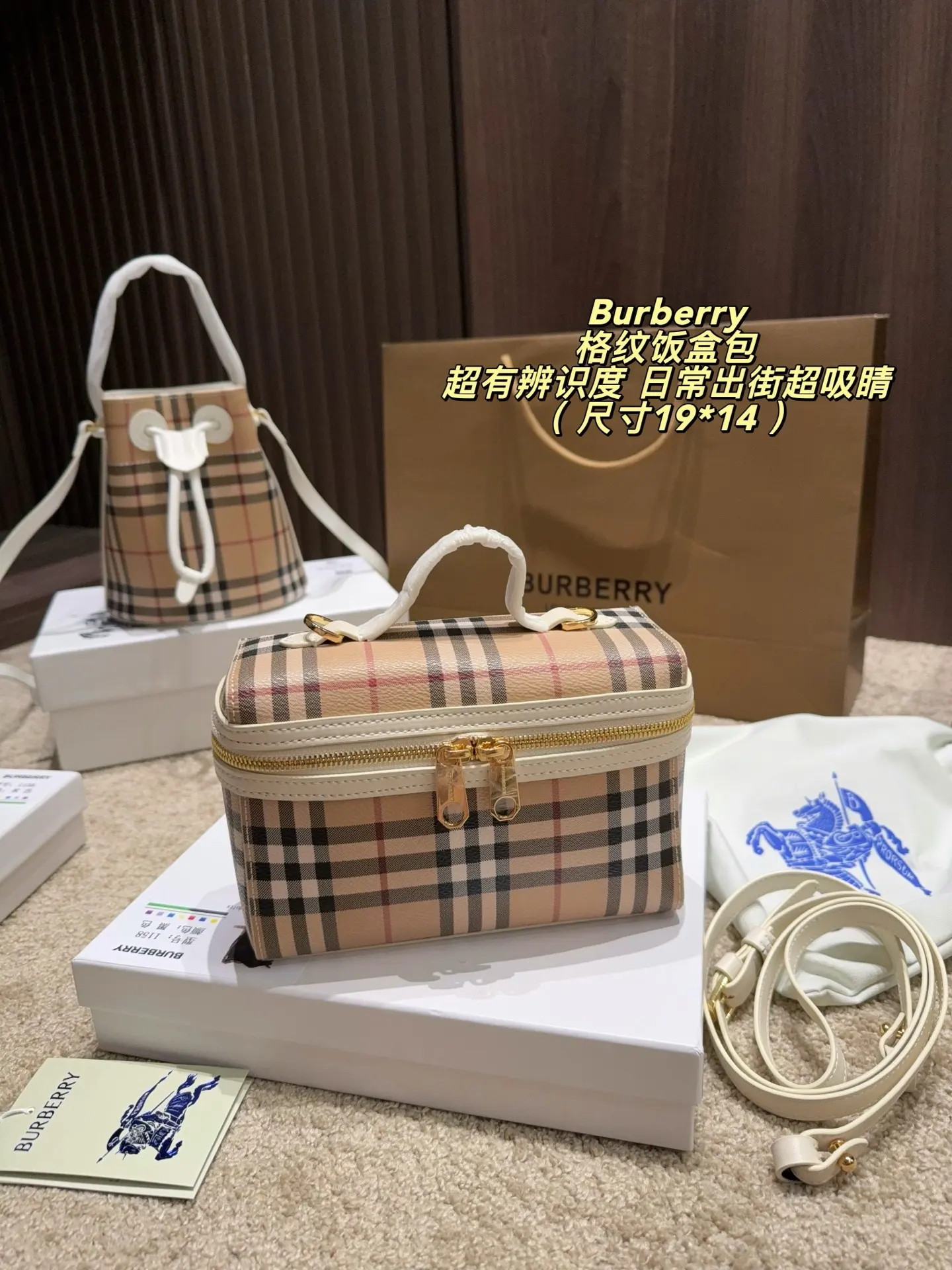 Check Canvas Box Bag D30017832