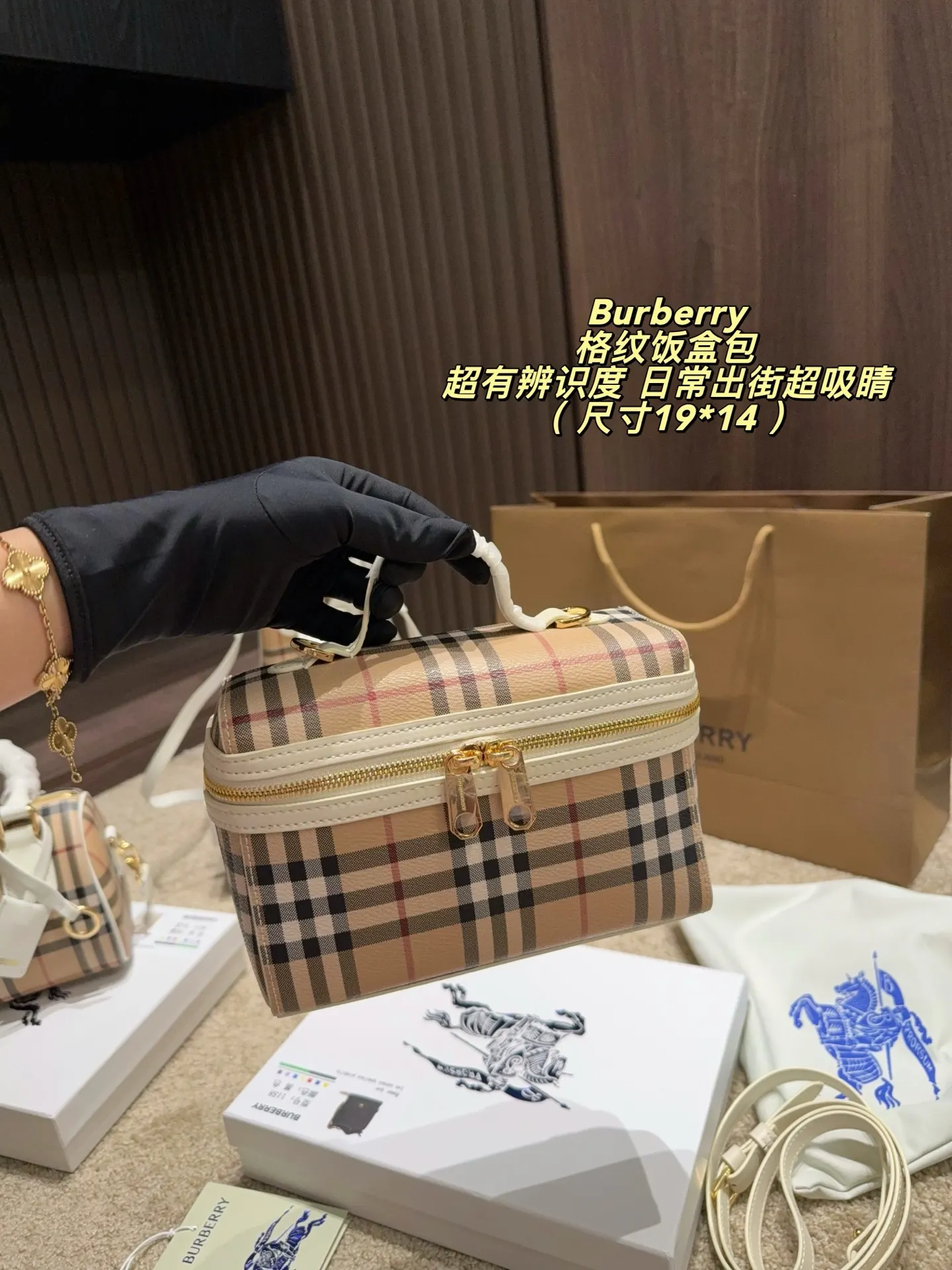 Check Canvas Box Bag D30017832 — view 8