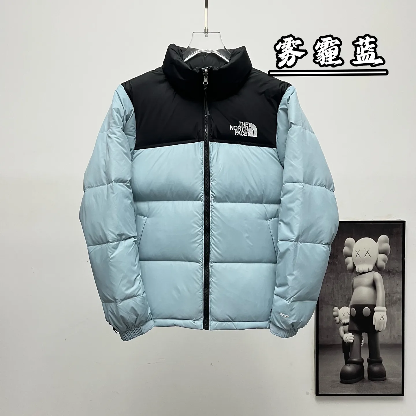 1996 Retro Nuptse Down Jacket D30020376