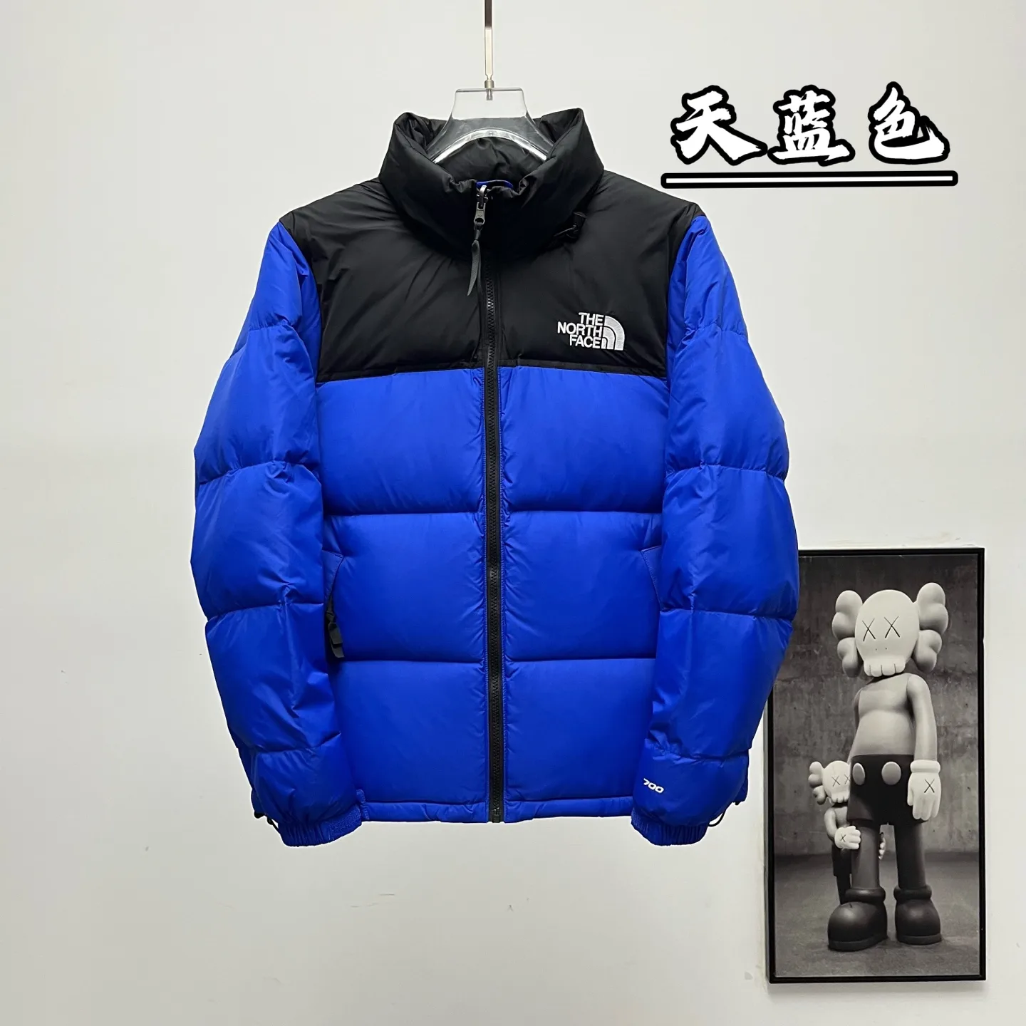 1996 Retro Nuptse Down Jacket D30020373 — view 10