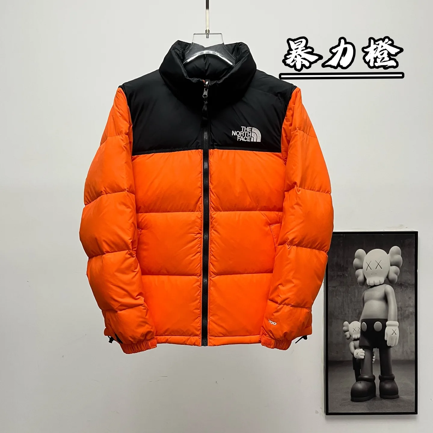 1996 Retro Nuptse Down Jacket D30020373 — view 11