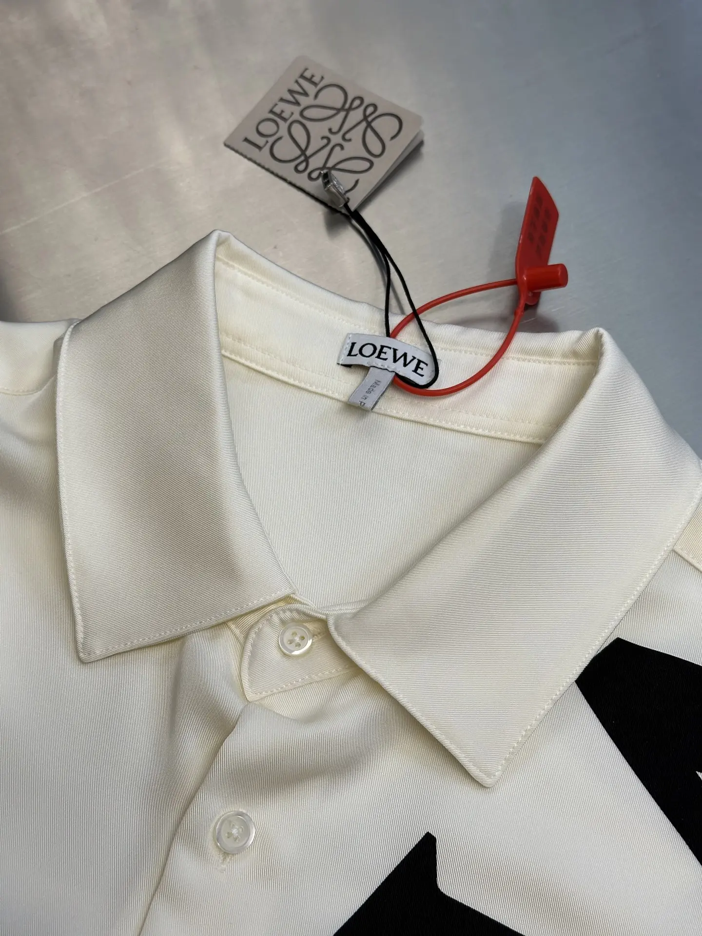 Logo Print Silk Long-Sleeve Shirt D31020458 — view 5