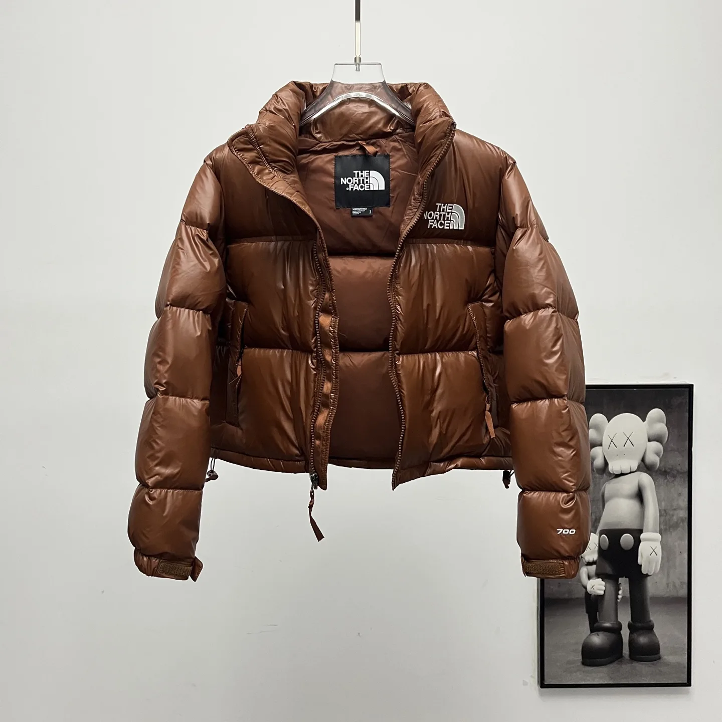 Nuptse Cropped Down-Filled Puffer Jacket D31020250 — view 5