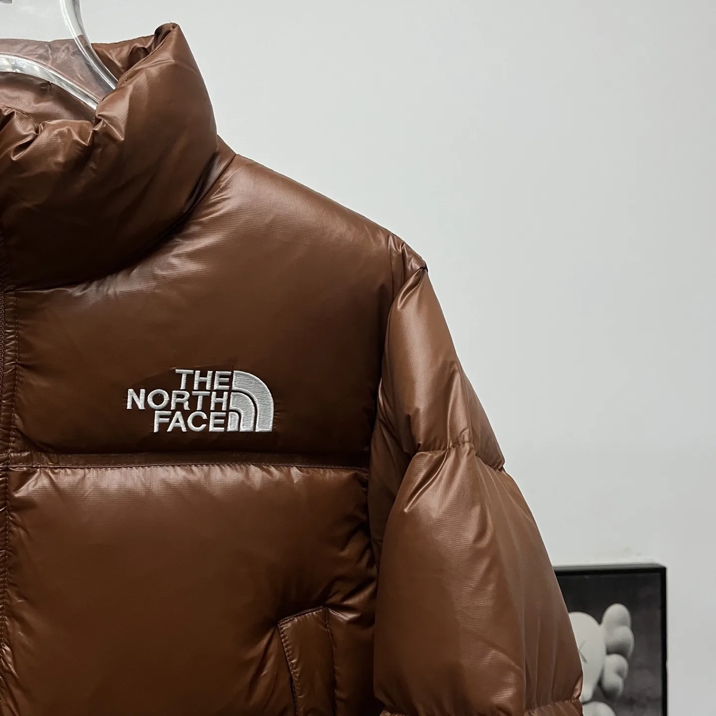 Nuptse Cropped Down-Filled Puffer Jacket D31020250 — view 6