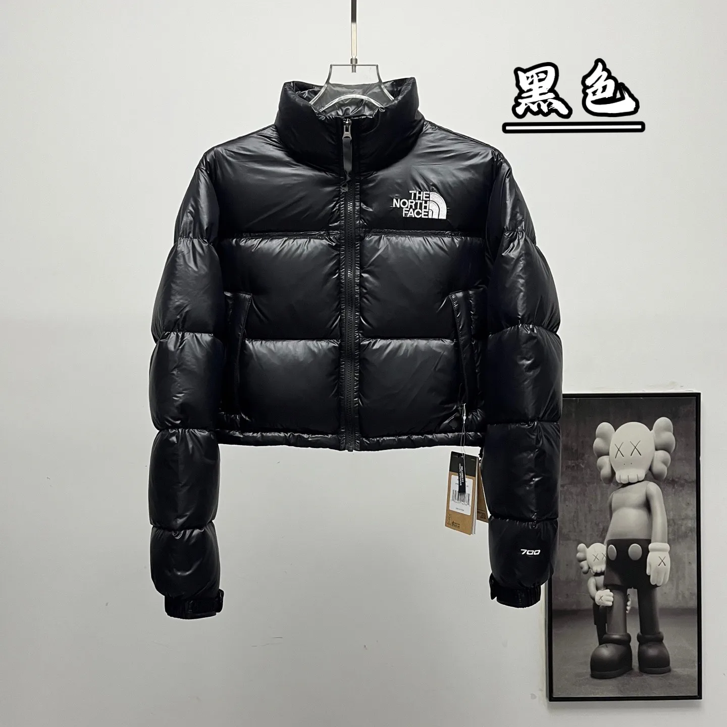 Nuptse Cropped Down-Filled Puffer Jacket D31020377