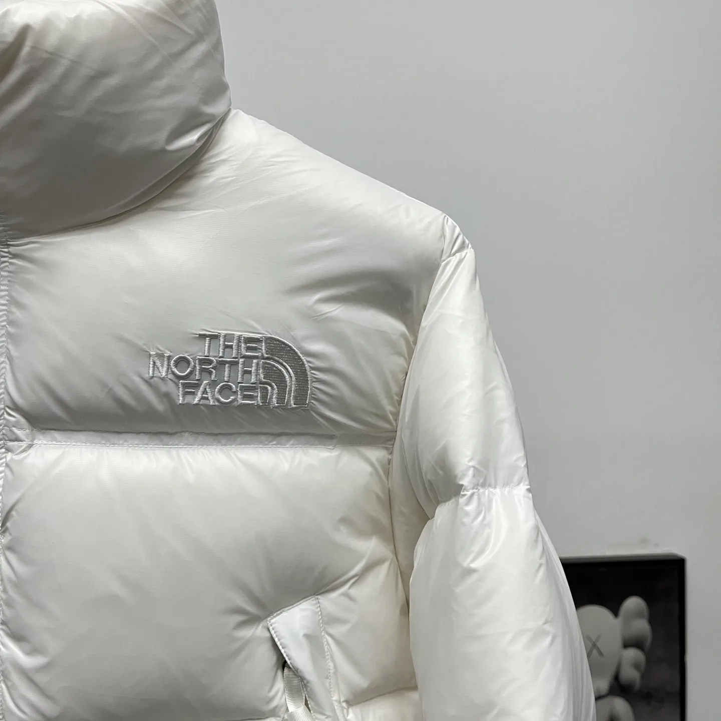 Nuptse Cropped Down-Filled Puffer Jacket D31020247 — view 6