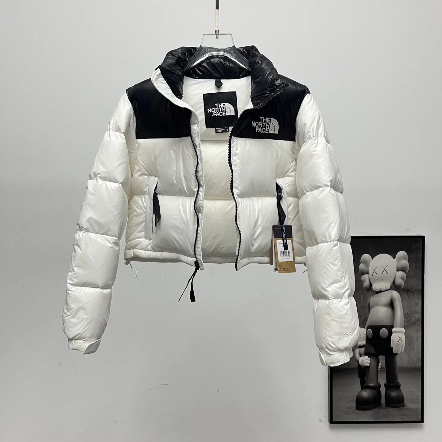1984 Nuptse Cropped Down Puffer Jacket D31020248 — view 5