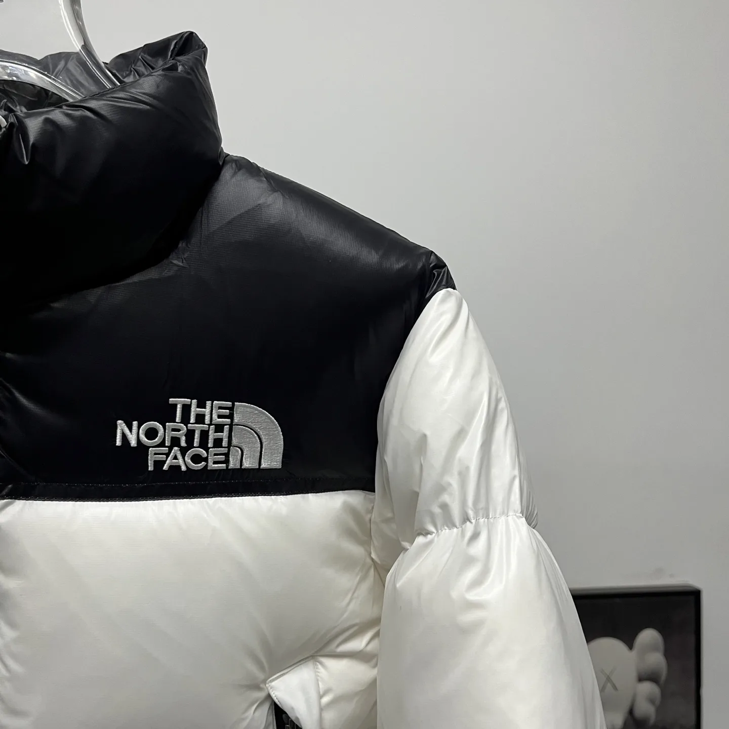 1984 Nuptse Cropped Down Puffer Jacket D31020248 — view 6