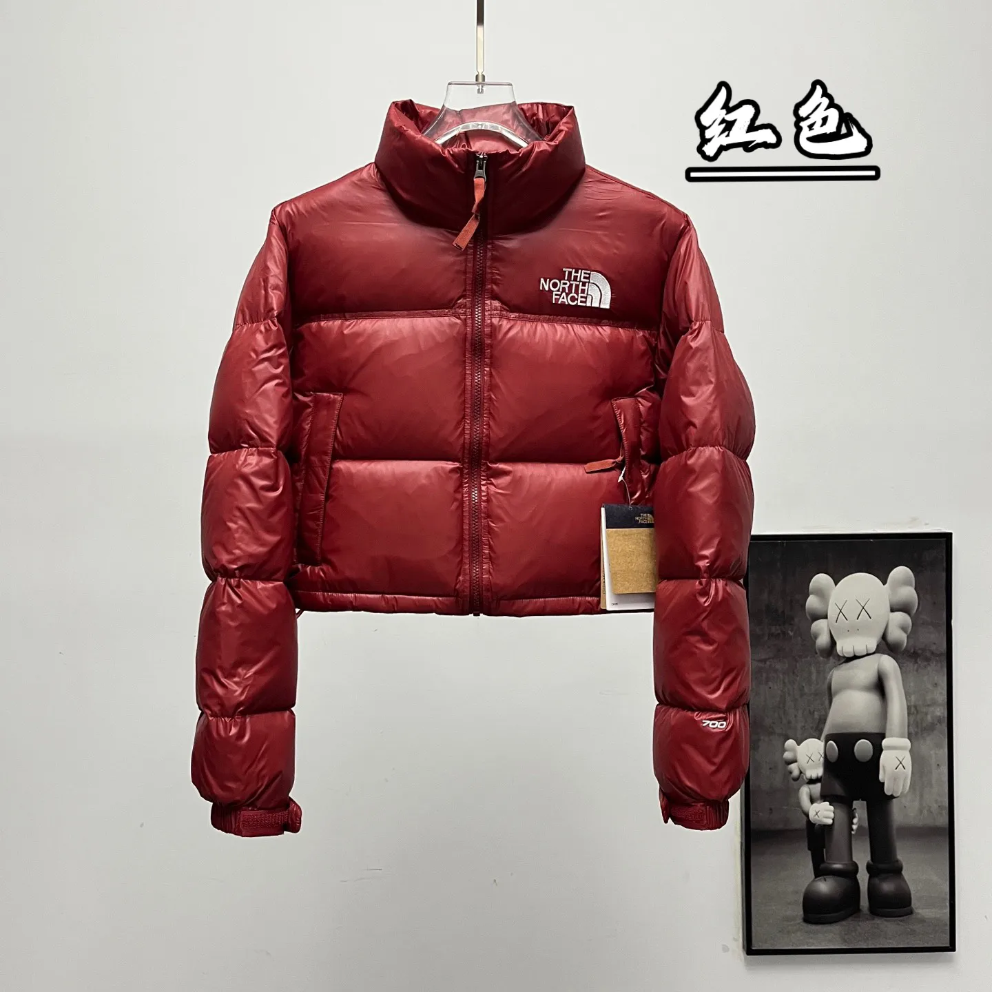 Nuptse Cropped Down-Filled Puffer Jacket D31020249 — view 9