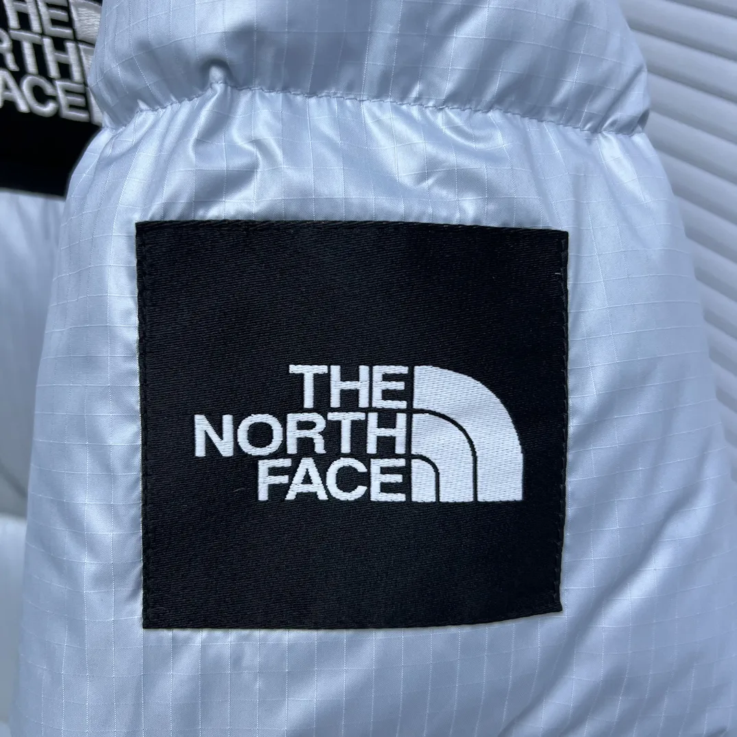 1996 Retro Nuptse Down Jacket D35020340 — view 5