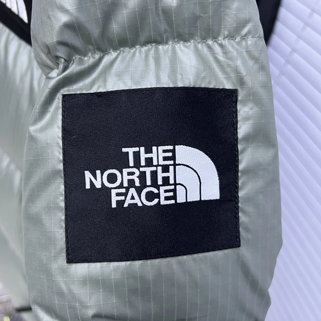 1996 Retro Nuptse Down-Filled Puffer Jacket D35020334 — view 5