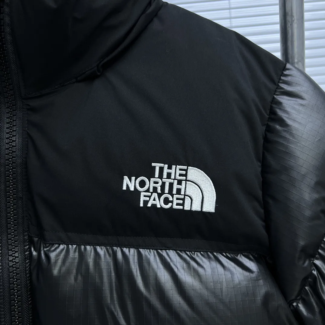 1996 Retro Nuptse Down-Filled Puffer Jacket D35020338 — view 4