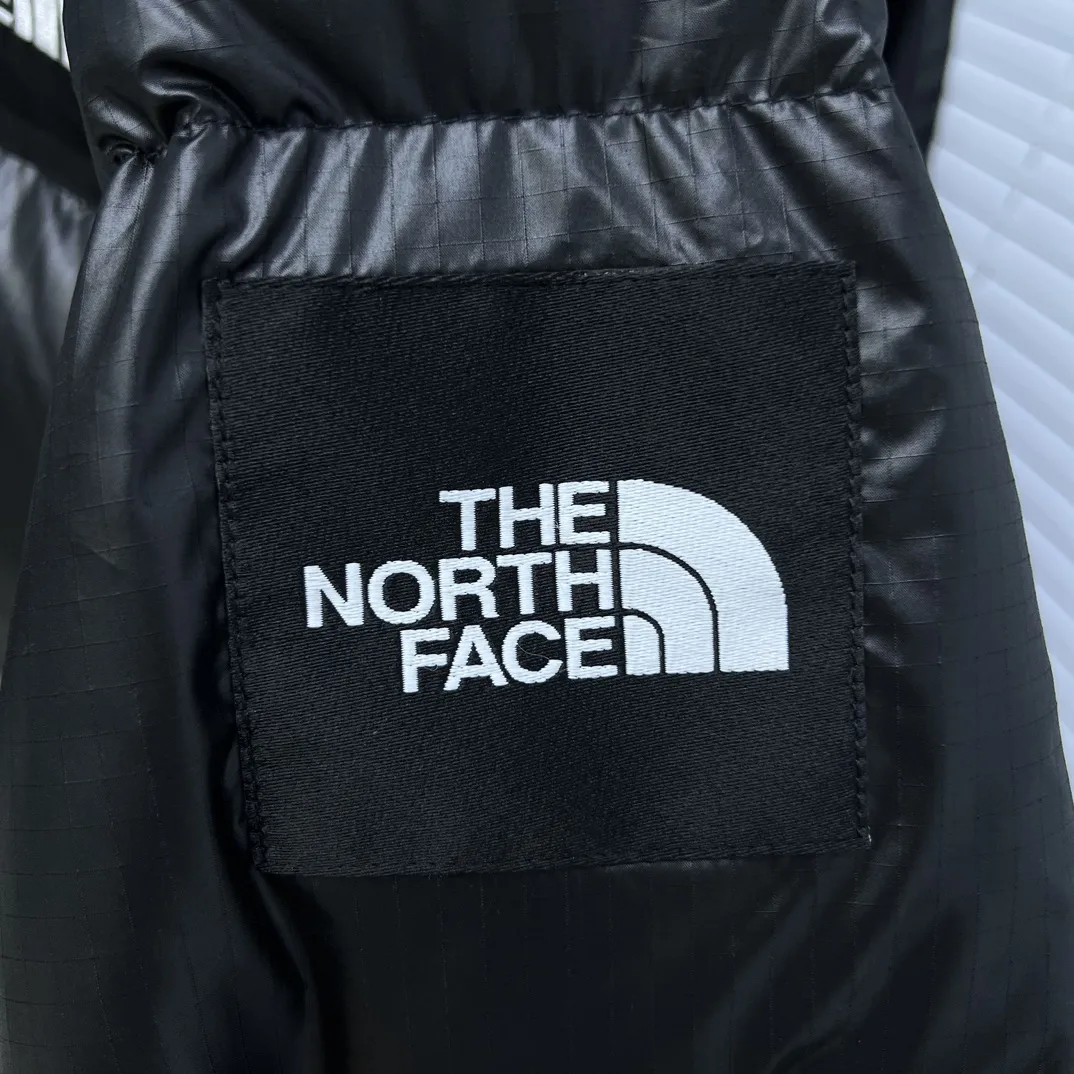 1996 Retro Nuptse Down-Filled Puffer Jacket D35020338 — view 5