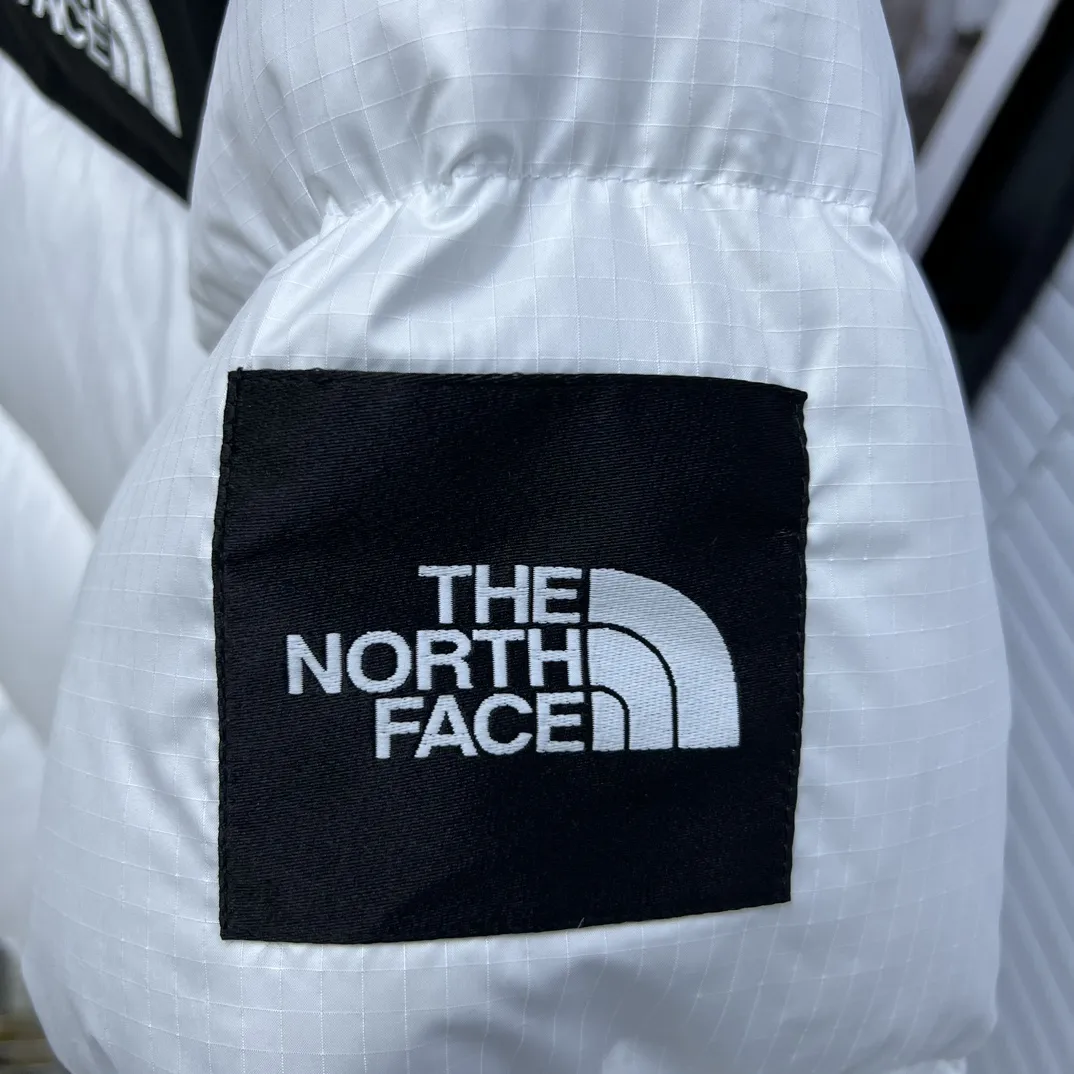 1996 Retro Nuptse Down-Filled Puffer Jacket D35020336 — view 5