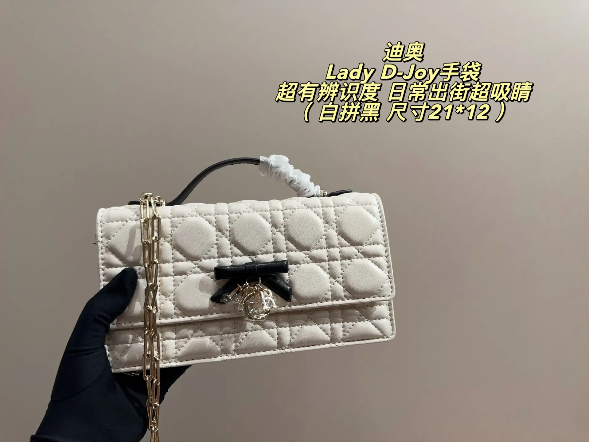 Lady D-Joy Quilted Shoulder Bag D35518344 — view 16