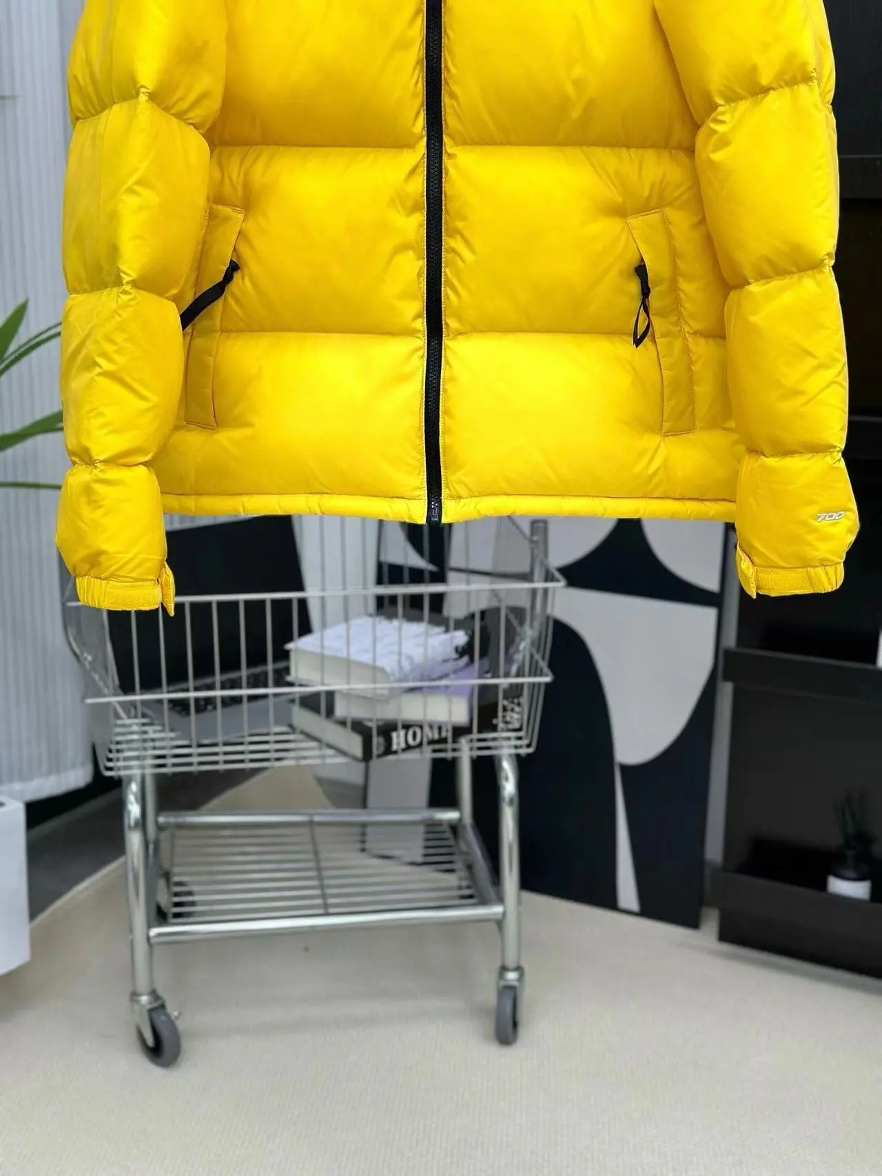 1996 Retro Nuptse Down-Filled Puffer Jacket D37022058 — view 4