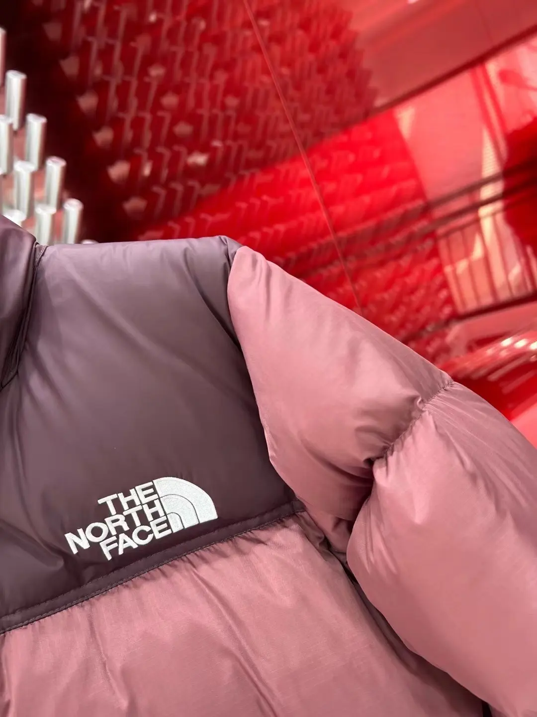 1996 Retro Nuptse Down Jacket D37022059 — view 5
