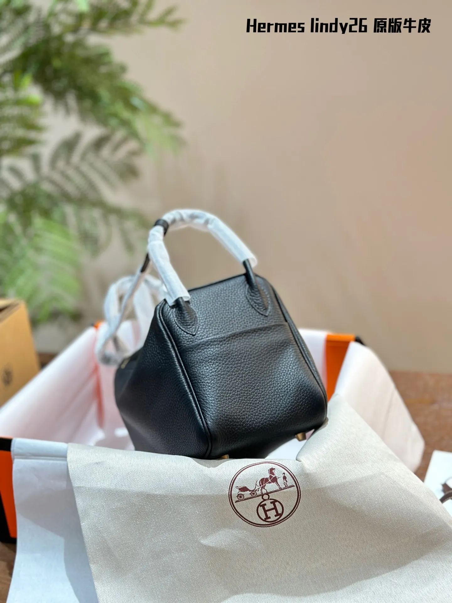 Lindy Grained Leather Top-Handle Bag D43018502 — view 5