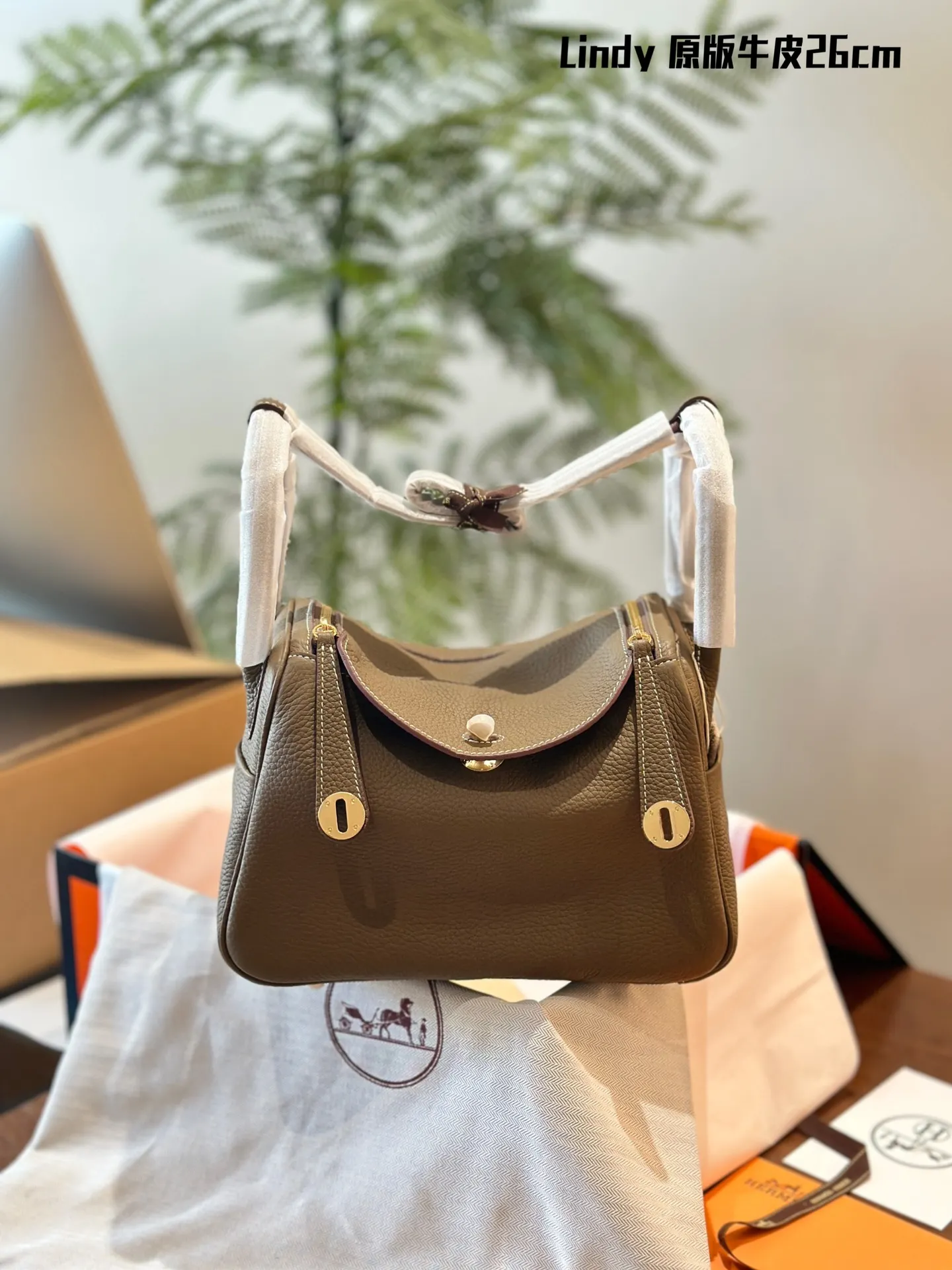 Lindy Grained Leather Top-Handle Bag D43018502 — view 10