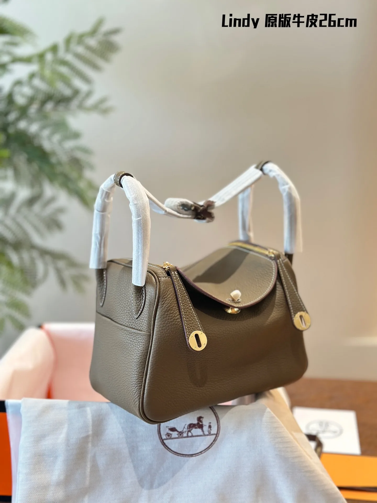 Lindy Grained Leather Top-Handle Bag D43018502 — view 11