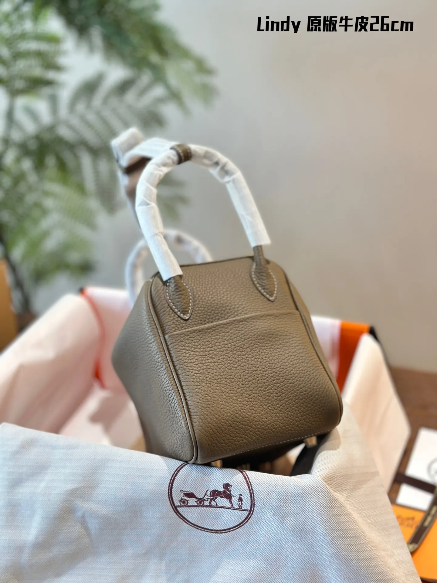 Lindy Grained Leather Top-Handle Bag D43018502 — view 12