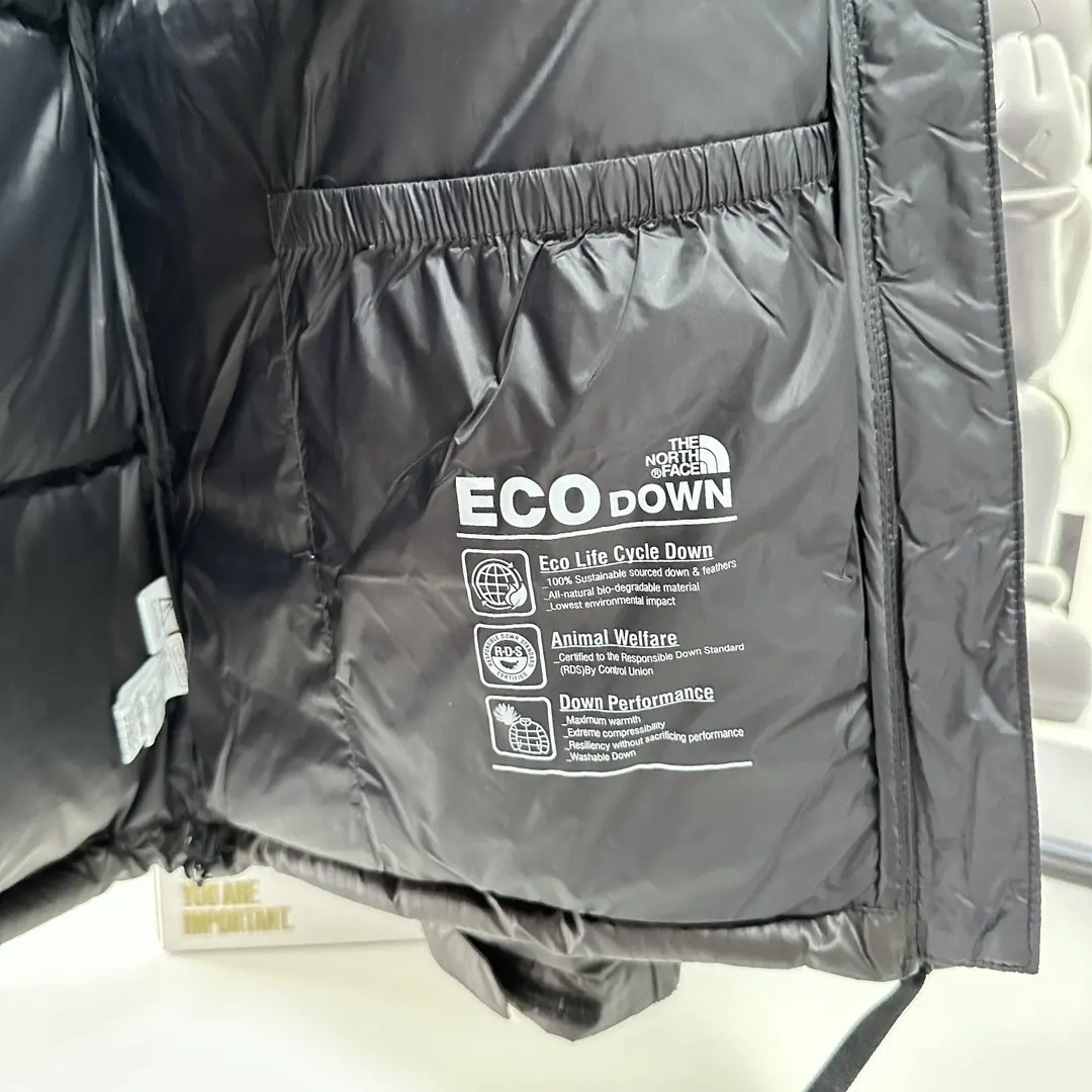 1996 Retro Nuptse Down Jacket D45022229 — view 9