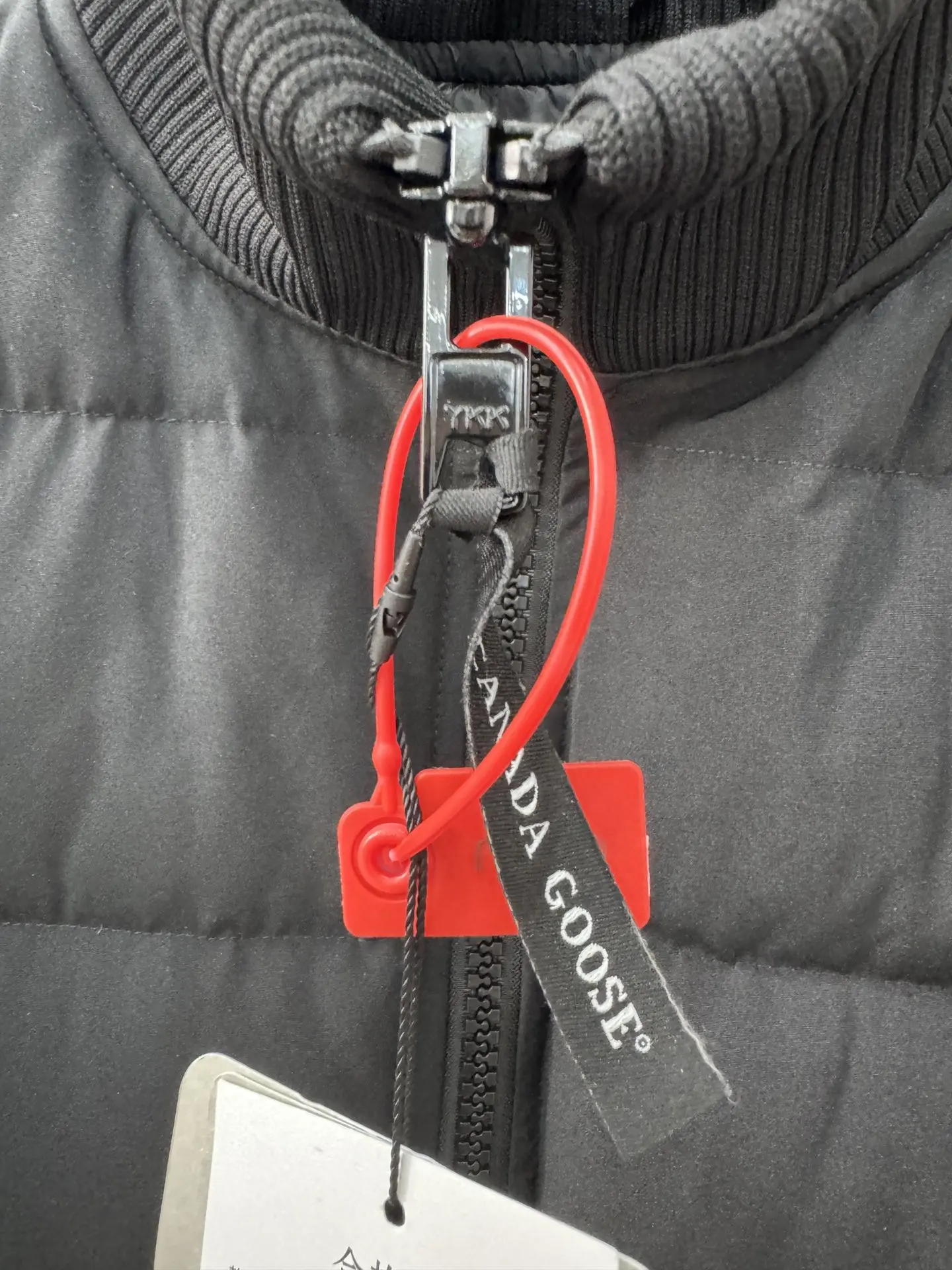 Canada Goose Quilted Down Bomber Jacket D52022267 — view 4