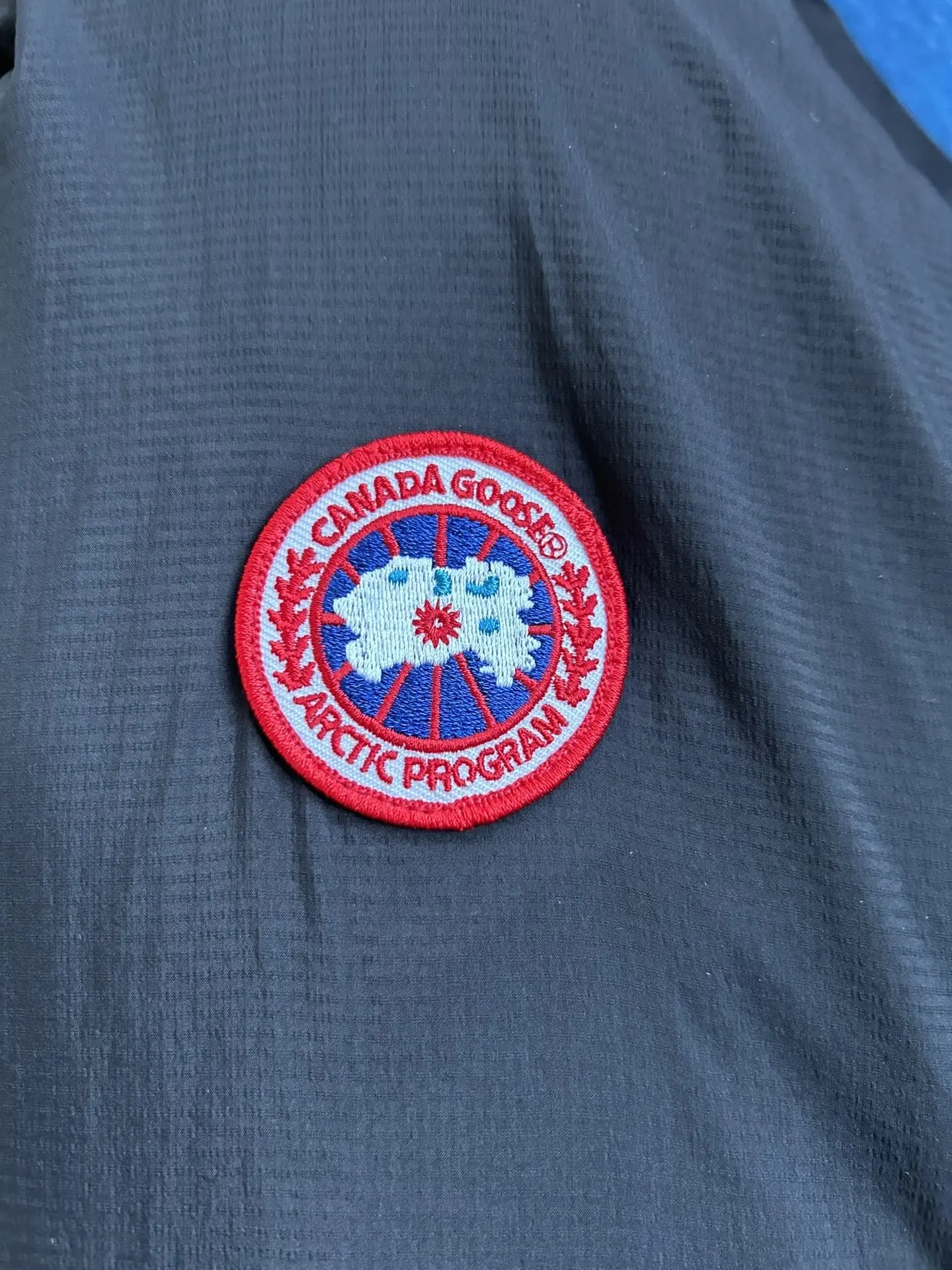 Lightweight Down-Filled Puffer Jacket D59022269 — view 6